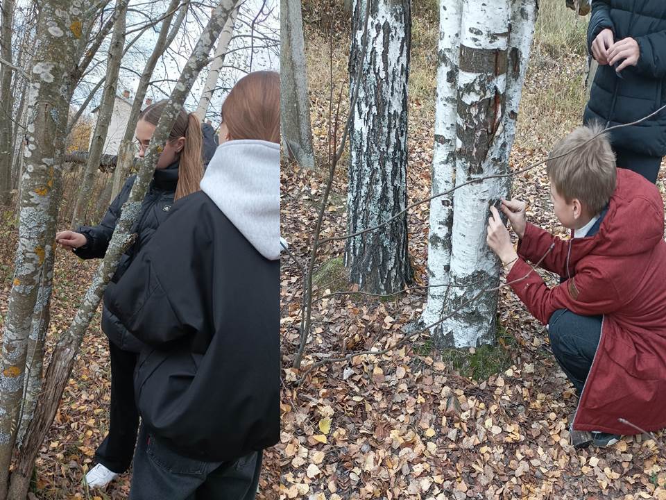 Юный любитель леса.